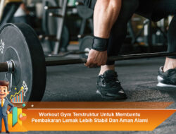 Workout Gym Terstruktur Untuk Membantu Pembakaran Lemak Lebih Stabil Dan Aman Alami